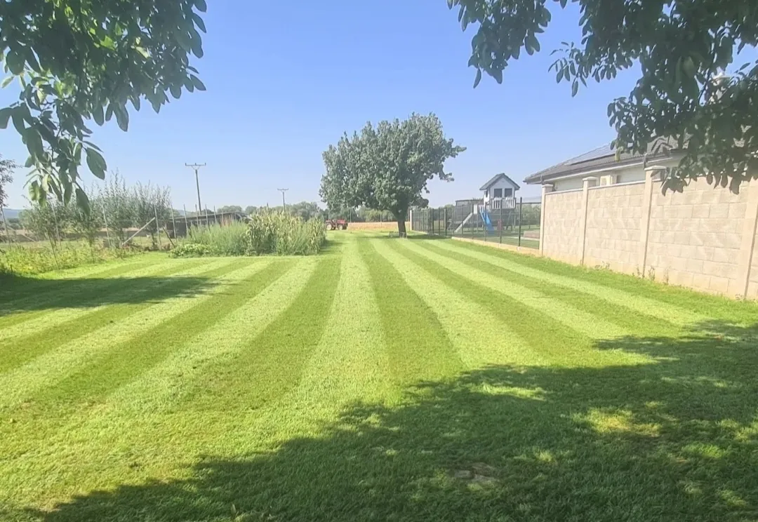 Zakladanie a regenerácia trávnikov